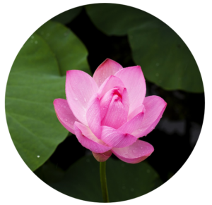 Tijd om uit de drukte van alledag te stappen 