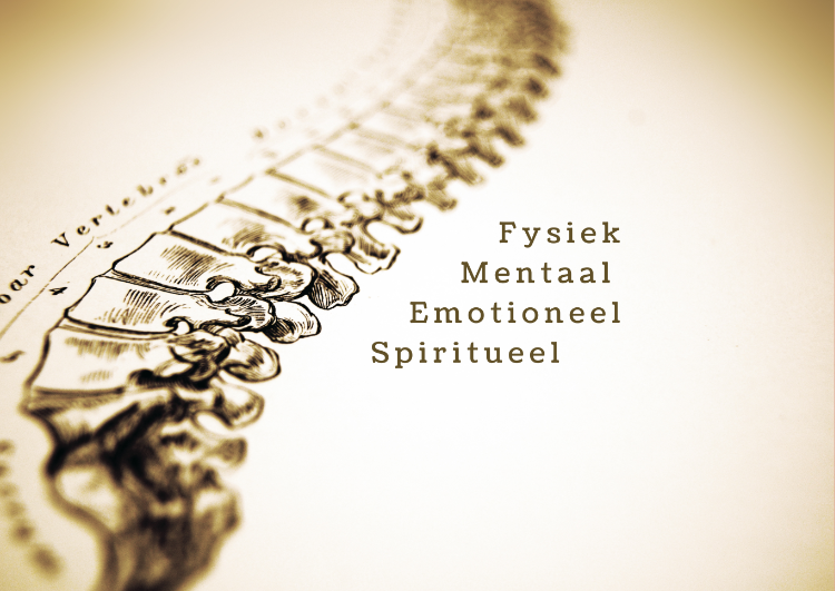 4 Dimensies van holistische gezondheid