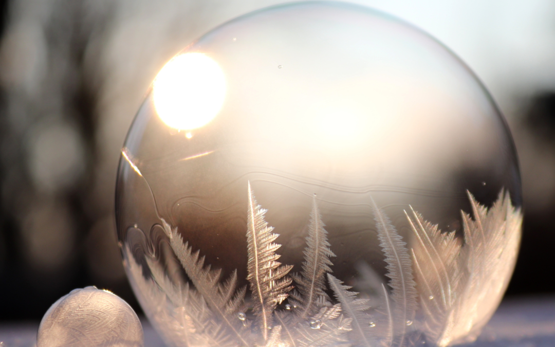 Winterlicht Innercirkel 20 december 2025