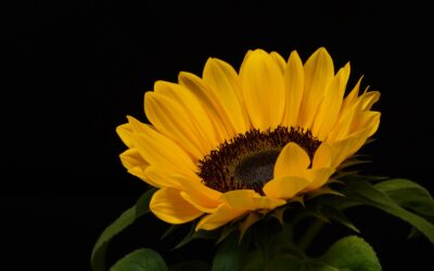 Pilates & Restorative Yoga 25 & 26 september 2026
